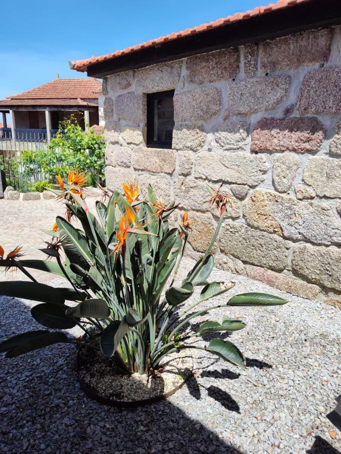 Casas Do Arrabalde Amarante